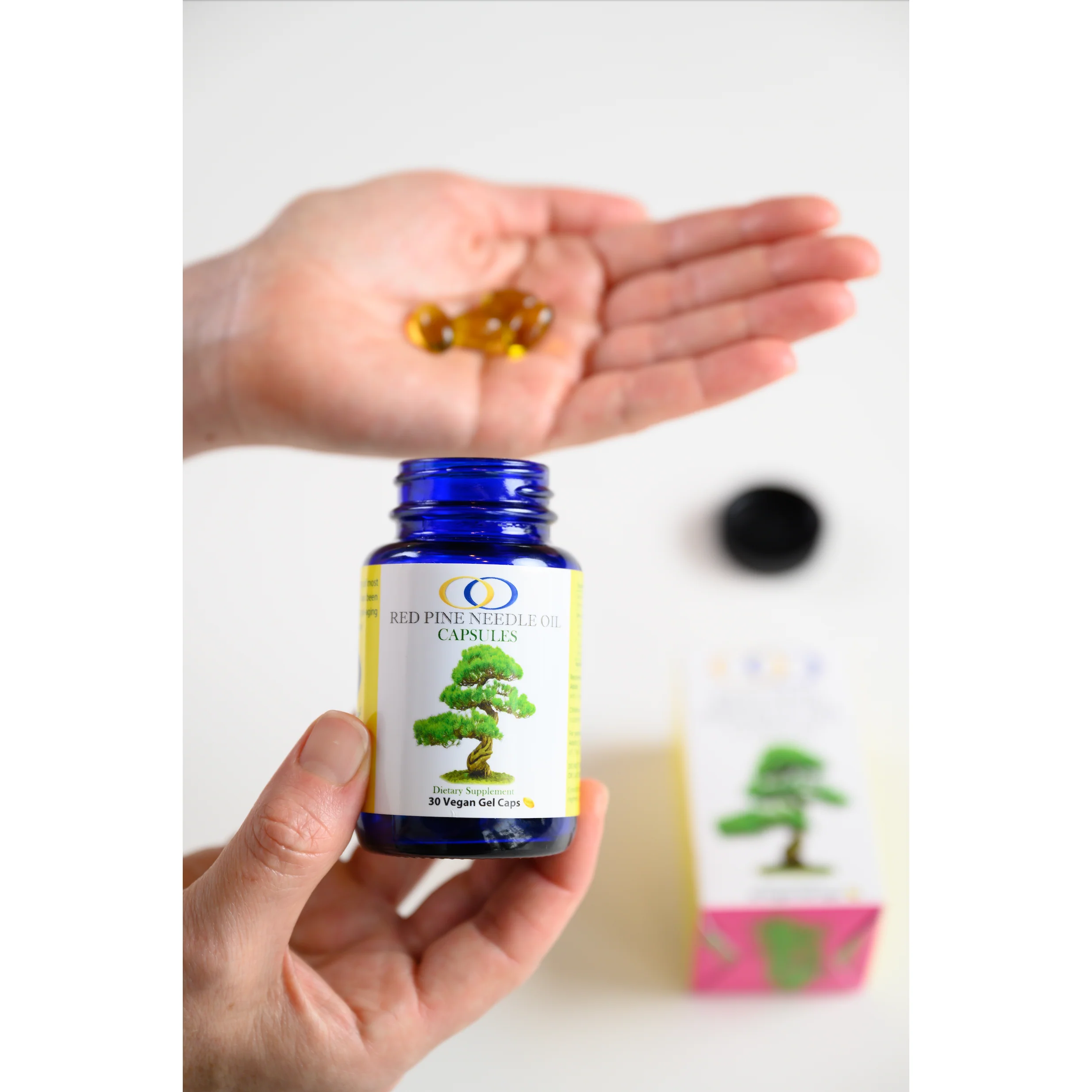 Red Pine Needle Oil - Vegan Capsules (30) - Image 7